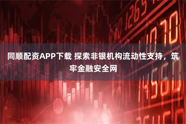 同顺配资APP下载 探索非银机构流动性支持，筑牢金融安全网