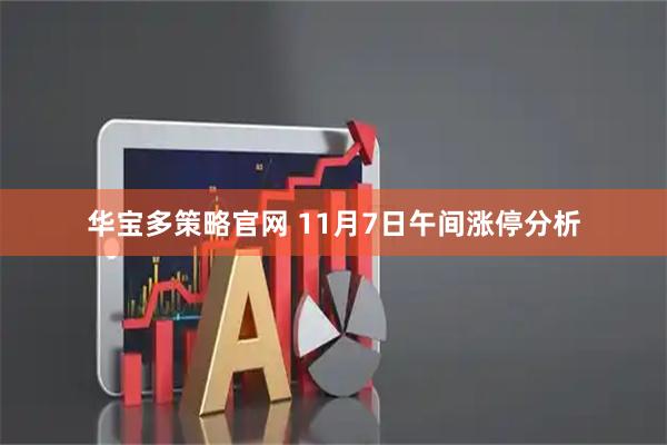华宝多策略官网 11月7日午间涨停分析